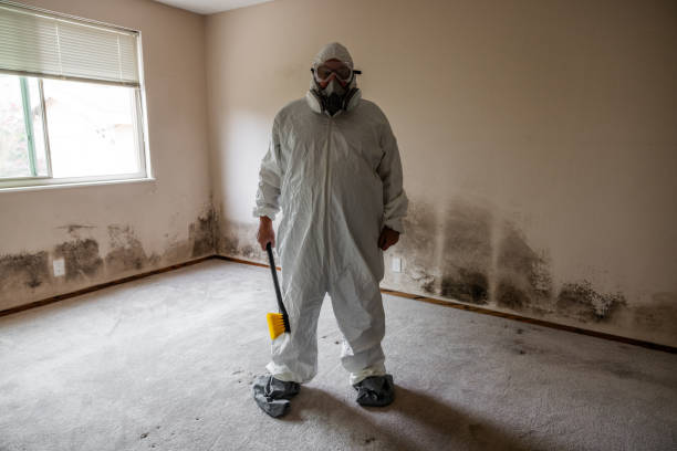 Asbestos and Lead Testing During Mold Inspection in Valatie, NY